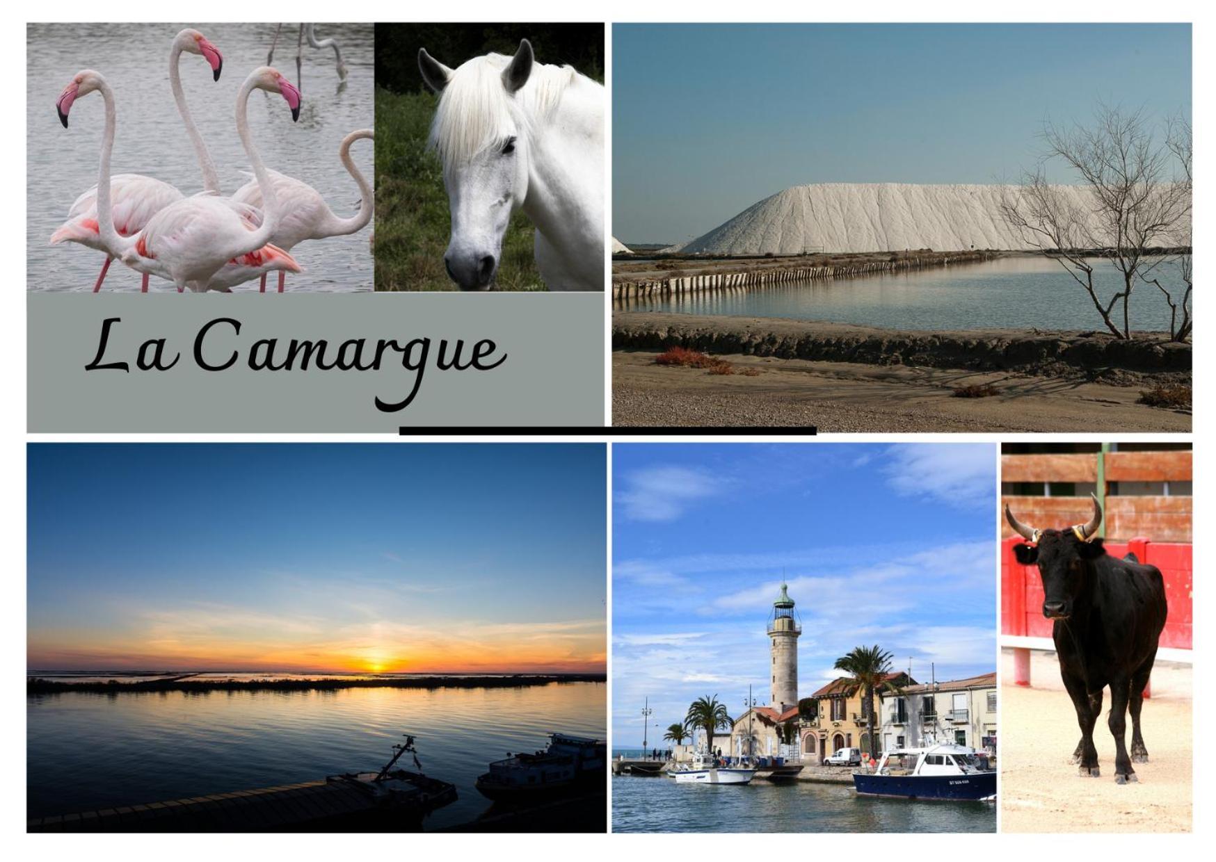 Immeuble 3 Apparts Centre Historique St Gilles Maisoncarreeconciergerie แซ็ง จิลส์ ภายนอก รูปภาพ